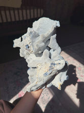 Load image into Gallery viewer, Blue coral
