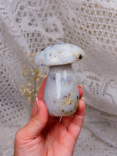 Load image into Gallery viewer, Agate mushroom
