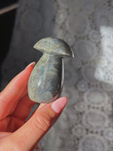 Load image into Gallery viewer, Labradorite mushroom
