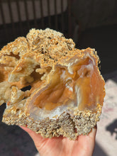 Load image into Gallery viewer, XL Crystallized/fossilized coral pair
