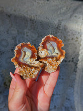 Load image into Gallery viewer, Fossilized coral *priced as a pair*
