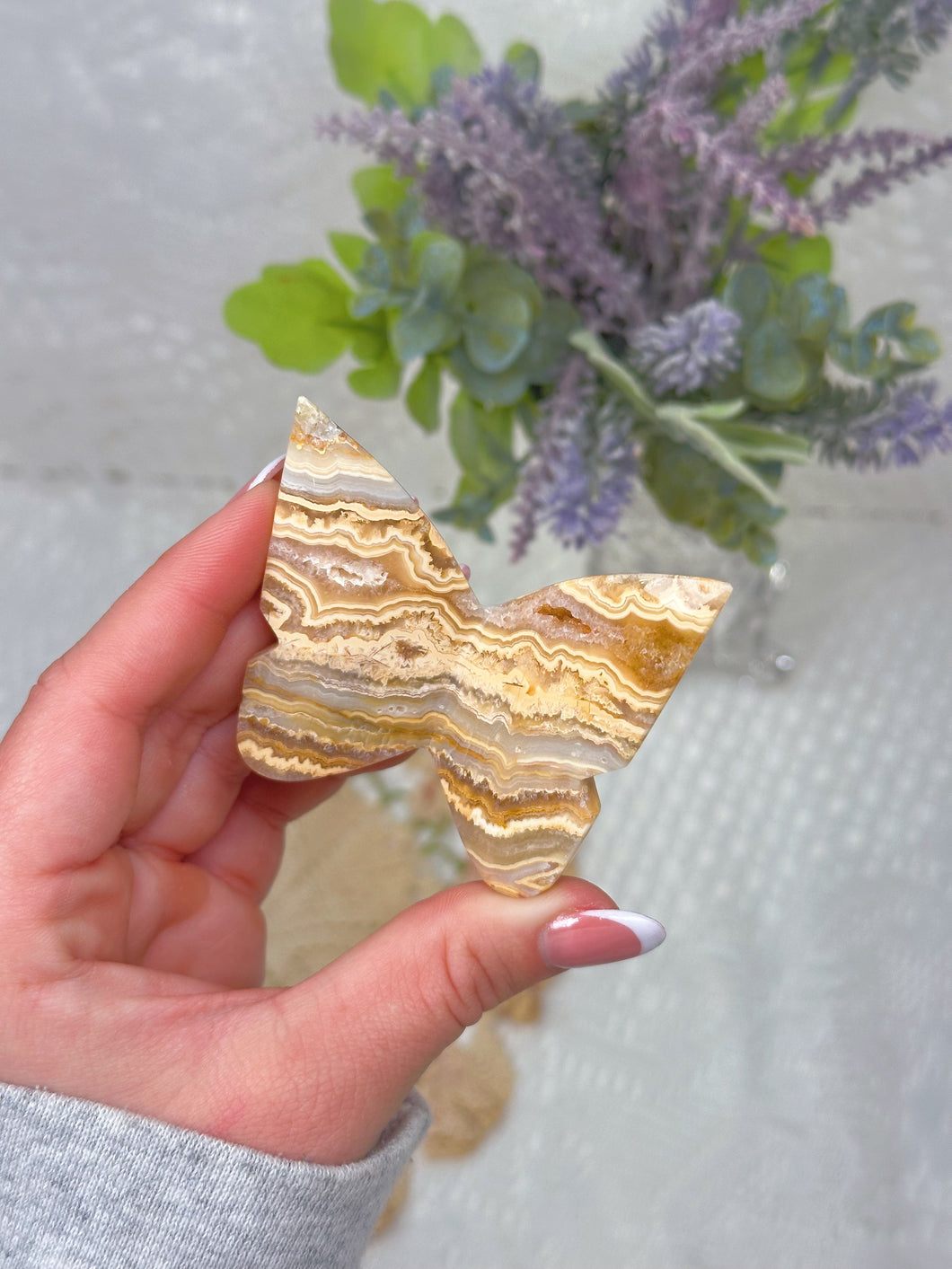 Crazy lace agate butterfly