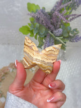 Load image into Gallery viewer, Crazy lace agate butterfly
