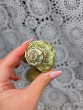 Load image into Gallery viewer, Green turbo shell *intuitive pick*
