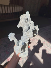 Load image into Gallery viewer, Blue coral
