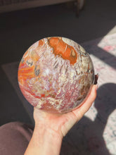 Load image into Gallery viewer, XL Petrified wood sphere
