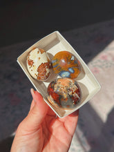 Load image into Gallery viewer, Carnelian orca agate palm set
