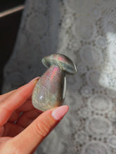Load image into Gallery viewer, Labradorite mushroom
