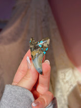 Load image into Gallery viewer, Rare Benedini tooth with turquoise/pyrite inlay
