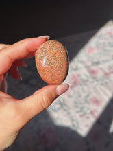 Load image into Gallery viewer, Rare veinless ocean jasper palmstone
