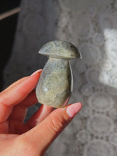 Load image into Gallery viewer, Labradorite mushroom
