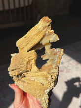 Load image into Gallery viewer, XL Crystallized/fossilized coral pair
