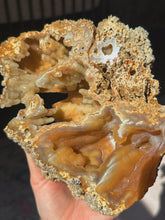 Load image into Gallery viewer, XL Crystallized/fossilized coral pair
