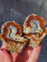 Load image into Gallery viewer, Fossilized coral *priced as a pair*
