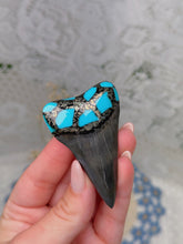 Load image into Gallery viewer, Prehistoric great white tooth with pyrite/turquoise

