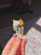 Load image into Gallery viewer, Elmwood calcite from Tennessee
