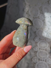 Load image into Gallery viewer, Labradorite mushroom
