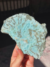 Load image into Gallery viewer, Rare larimar and petrified wood slab
