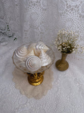 Load image into Gallery viewer, Mother of pearl turbo topshells

