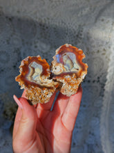 Load image into Gallery viewer, Fossilized coral *priced as a pair*
