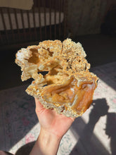 Load image into Gallery viewer, XL Crystallized/fossilized coral pair

