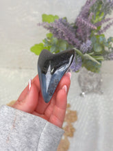 Load image into Gallery viewer, Polished Megalodon tooth
