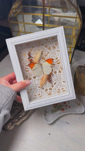 Load image into Gallery viewer, Butterfly in box display (handmade)
