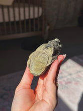 Load image into Gallery viewer, Perminalized wood with chalcopyrite (sheds easily)
