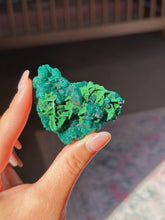 Load image into Gallery viewer, Dioptase with druzy malachite
