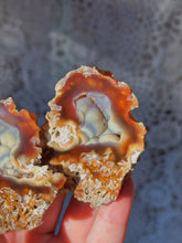 Load image into Gallery viewer, Fossilized coral *priced as a pair*
