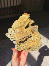 Load image into Gallery viewer, XL Crystallized/fossilized coral pair
