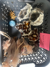 Load image into Gallery viewer, Order for @hannahrkillian
