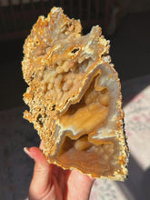 Load image into Gallery viewer, XL Crystallized/fossilized coral pair
