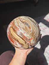Load image into Gallery viewer, XL Petrified wood sphere
