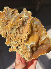 Load image into Gallery viewer, XL Crystallized/fossilized coral pair
