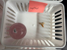 Load image into Gallery viewer, Order for @megallbagel
