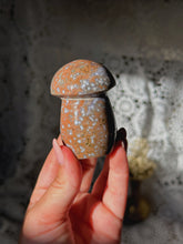 Load image into Gallery viewer, Ocean/sea jasper mushroom
