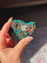 Load image into Gallery viewer, Dioptase with druzy malachite
