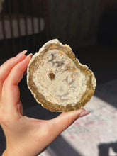 Load image into Gallery viewer, Petrified wood slab
