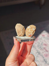 Load image into Gallery viewer, Swazi rose agate butterfly pair
