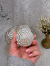 Load image into Gallery viewer, Mother of pearl turbo topshells
