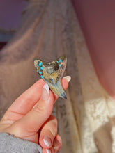 Load image into Gallery viewer, Rare Benedini tooth with turquoise/pyrite inlay
