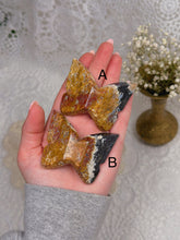 Load image into Gallery viewer, Palm root butterfly (you pick)
