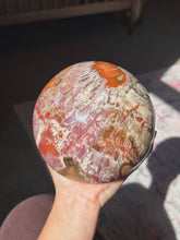 Load image into Gallery viewer, XL Petrified wood sphere
