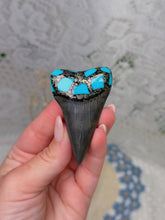 Load image into Gallery viewer, Prehistoric great white tooth with pyrite/turquoise
