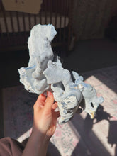 Load image into Gallery viewer, Blue coral
