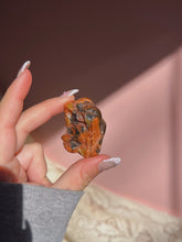 Load image into Gallery viewer, Petrified wood tumble from Arizona
