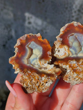 Load image into Gallery viewer, Fossilized coral *priced as a pair*
