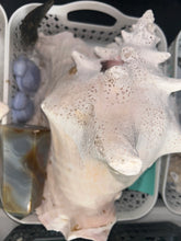 Load image into Gallery viewer, Order for @hannahrkillian
