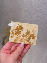 Load image into Gallery viewer, Dendritic plates
